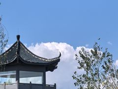 -盐城丹顶鹤湿地生态旅游区