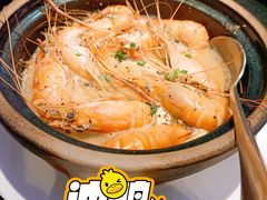 -新白鹿餐厅(百联中环店)