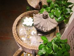 -茶花妹子云南餐厅(传媒大学店)