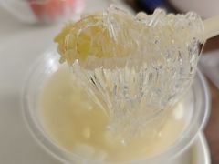 海石花糖水-肥猪仔小吃店(罗湖店)