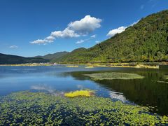 -腾冲北海湿地