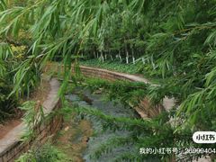 -洛龙公园
