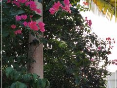 -云溪植物园