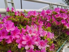 -万达广场(南京江宁店)