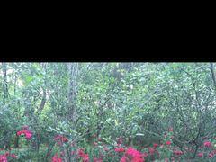 -昆山城市生态森林公园