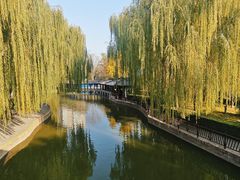 -团结湖公园