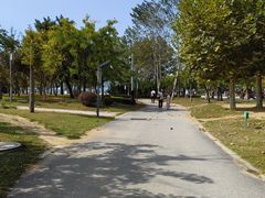 -傅家庄公园