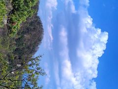 -王顺山国家森林公园
