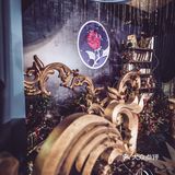 Onewedding婚礼策划丨美女与野兽