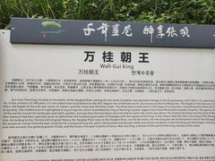 -张坝桂圆林公园