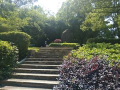 -中山市树木园