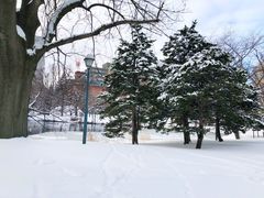 -北海道厅旧本厅舍(旧本庁舎)