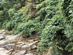 -连云港云龙涧原生态风景区