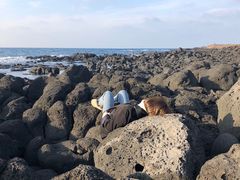 -Cafe Aewol Monsant