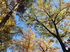 -长春市南湖公园