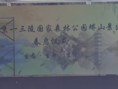 -蟒山国家森林公园-停车场