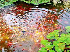 -竹泉村旅游度假区