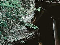 -成都杜甫草堂博物馆
