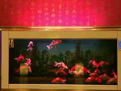 -大桶大足浴(南翔店)