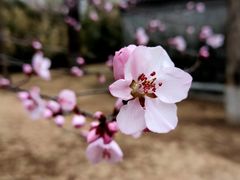 -颐和园