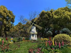 -上海共青森林公园