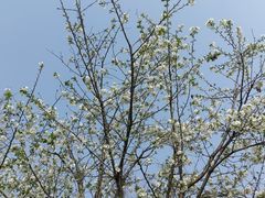 -中国天府农业博览园