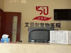 -艾贝尔宠物医院 ·内科全科(梁溪路店)