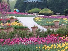 -石家庄市植物园