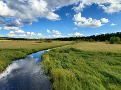 -塞罕坝国家级自然保护区