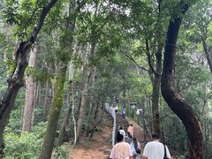 -灵顺寺