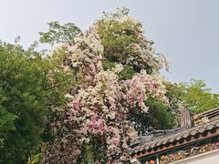 -深圳国际园林花卉博览园