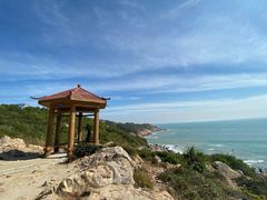-广东惠东海龟国家级自然保护区
