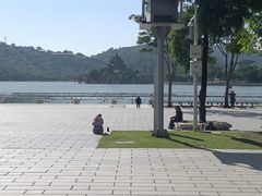 -顺峰山公园