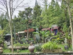 -青城甲(青城山店)