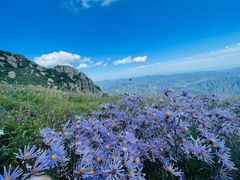 -白草畔自然风景区
