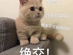 -海底捞火锅(亲子主题北金鹰店)