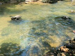 -广州白江湖森林公园