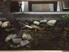 -山有花啡餐厅(常营总店)