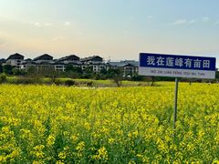 -冠豸山景区