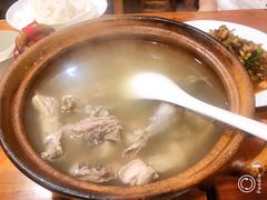 野鸡汤-三千西子