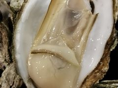 -土蚝·高压锅生蚝(百姓美食街店)