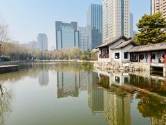-团结湖公园
