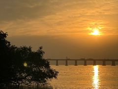 -宝安西湾红树林湿地公园