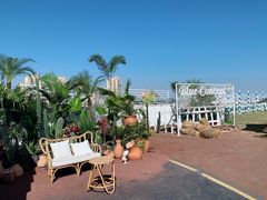 -Blue Concept Cafe&Farm·關於藍
