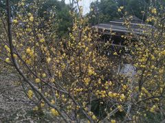 -祥源·阜阳生态乐园