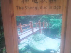 -湖州龙王山景区