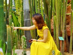 -华南国家植物园-售票处