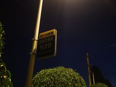 -马白开来特色羊排揪片子  (总店)