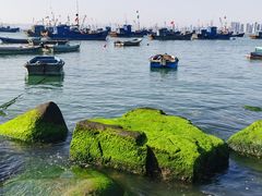 -海源公园