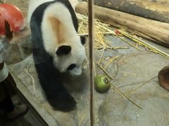 -海南热带野生动植物园
